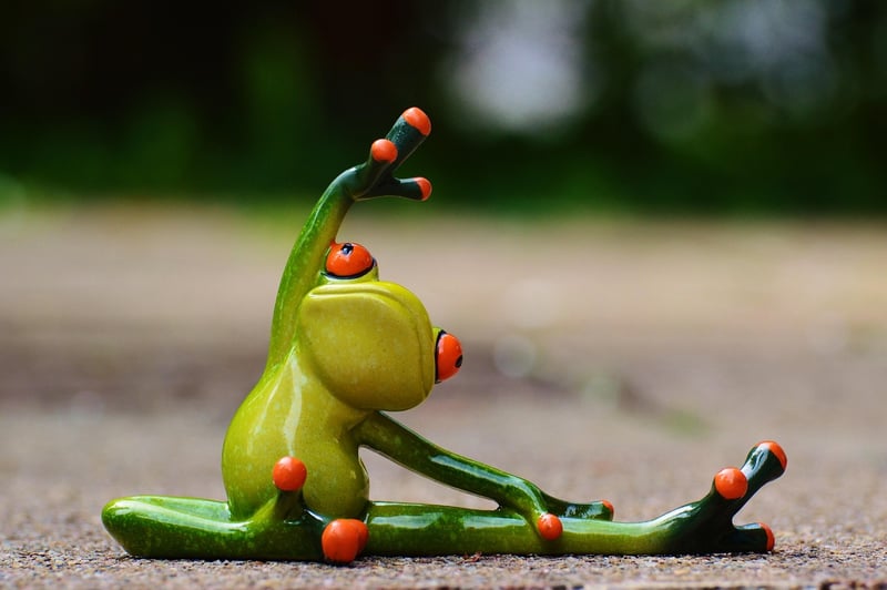 Pilates for Flexibility