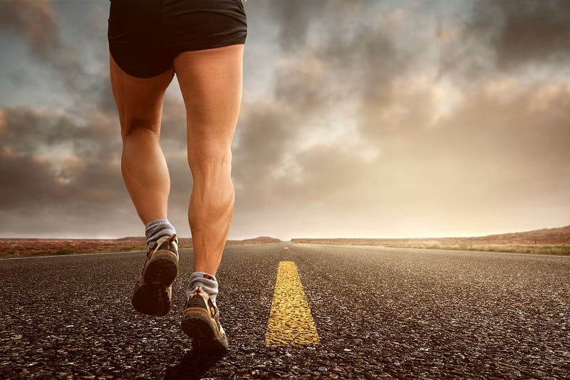 Fitness Training